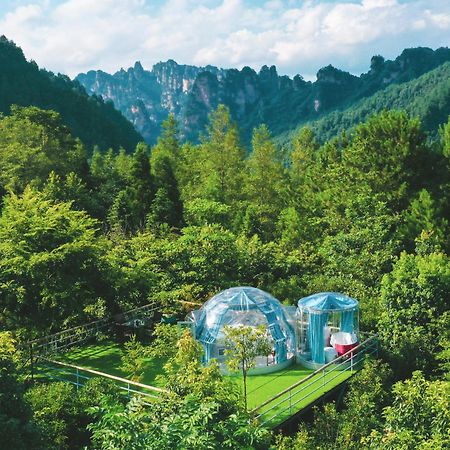 Forest Glass Inn Zhangjiajie Exterior photo