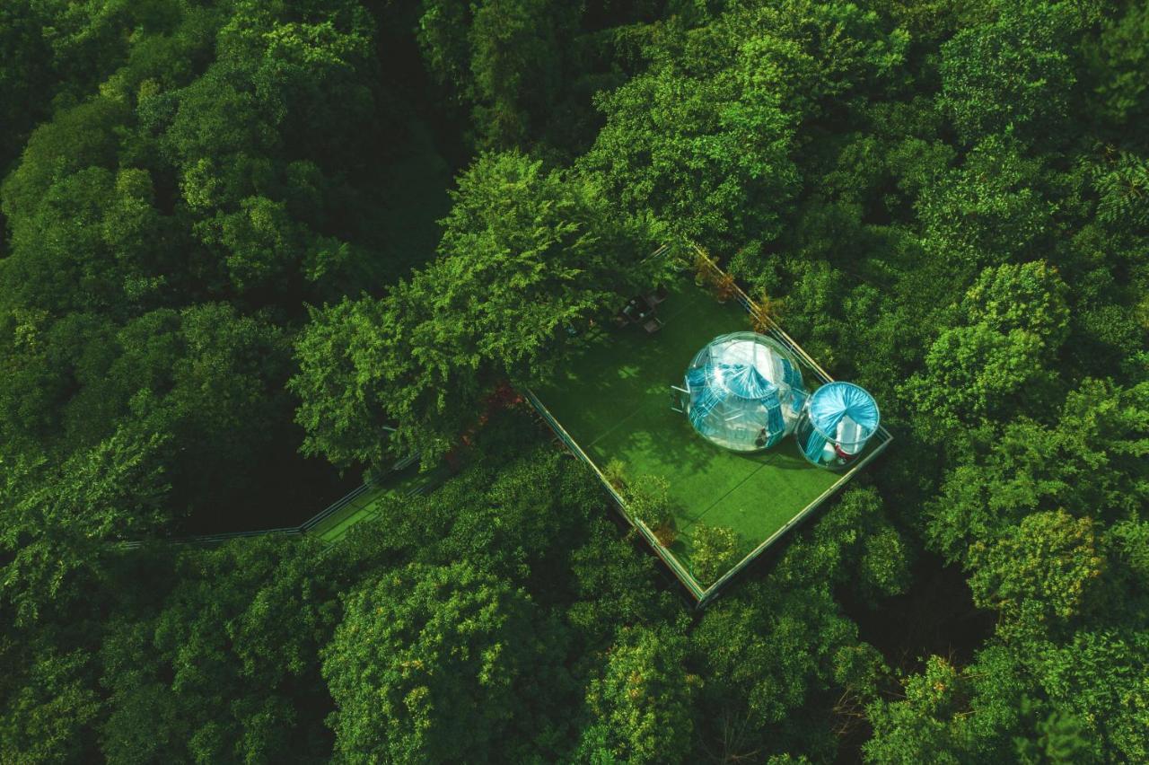 Forest Glass Inn Zhangjiajie Exterior photo